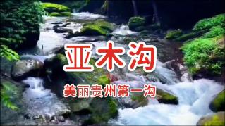 瞳术使用者